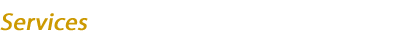 Interim_ceo